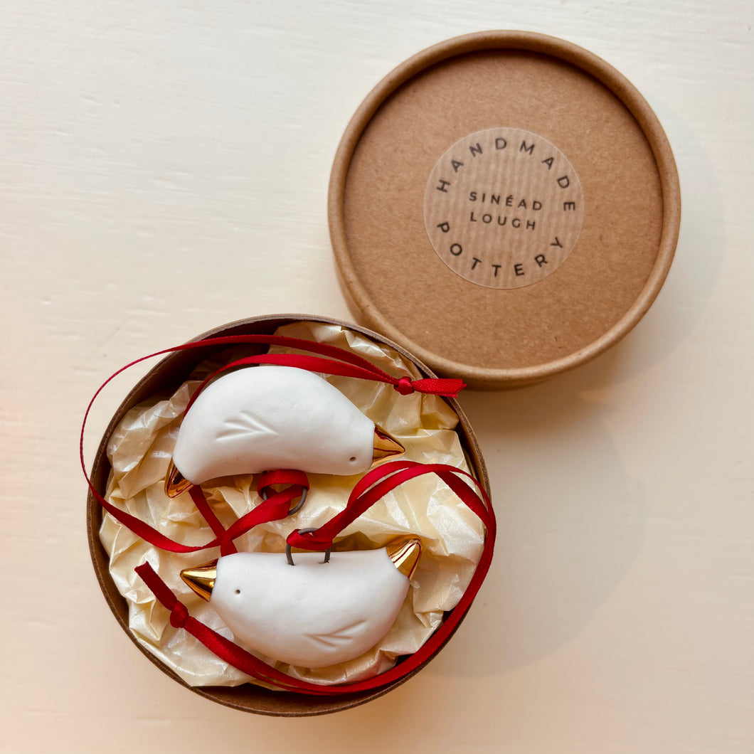 Boxed set of 2 bird decorations